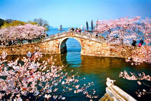 五市 黿頭渚 沙家浜 三大水鄉 周莊烏鎮西塘 留園雙臥七日游1380元 人三門峽起止